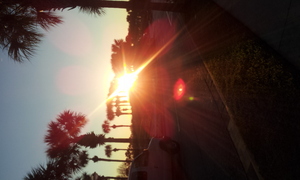 2013-02-03 17.47.21.jpg